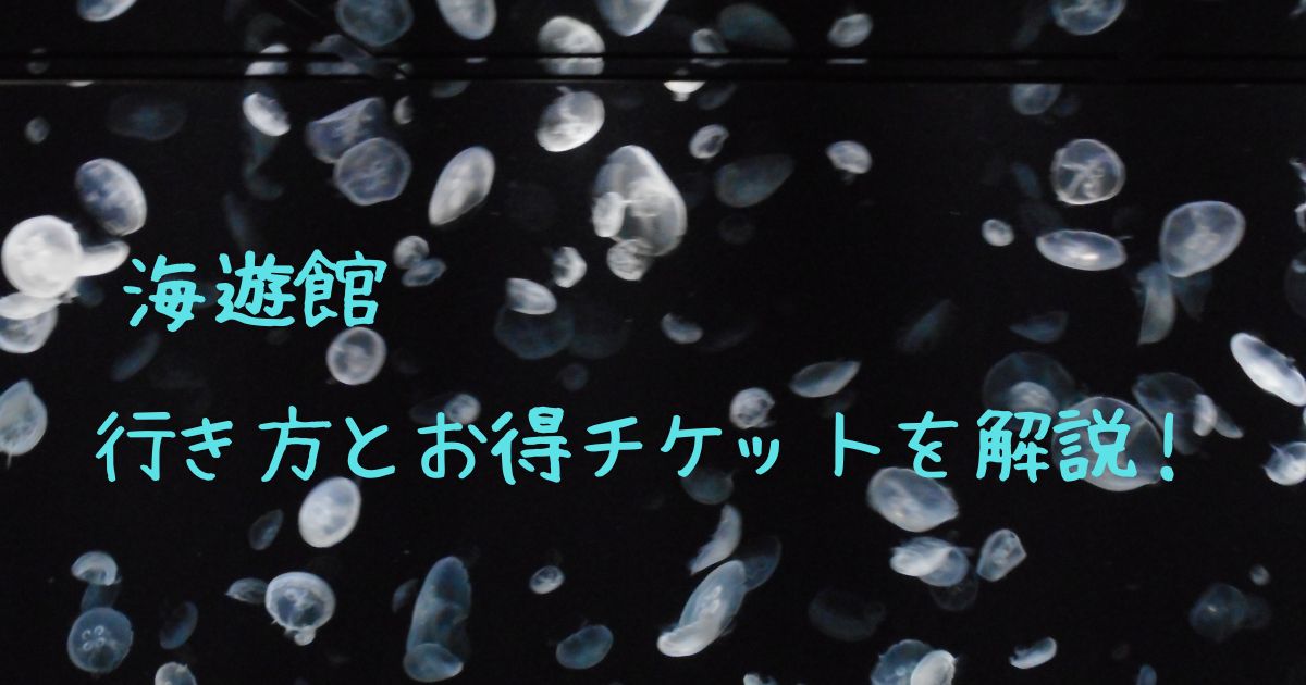 海遊館の生き方とお得なチケットを解説